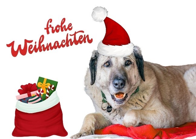 Weihnachtswünsche 2024